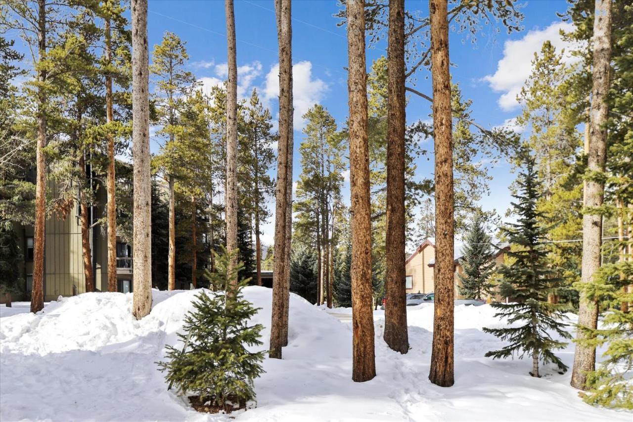 Park Forest Estates Breckenridge Ngoại thất bức ảnh